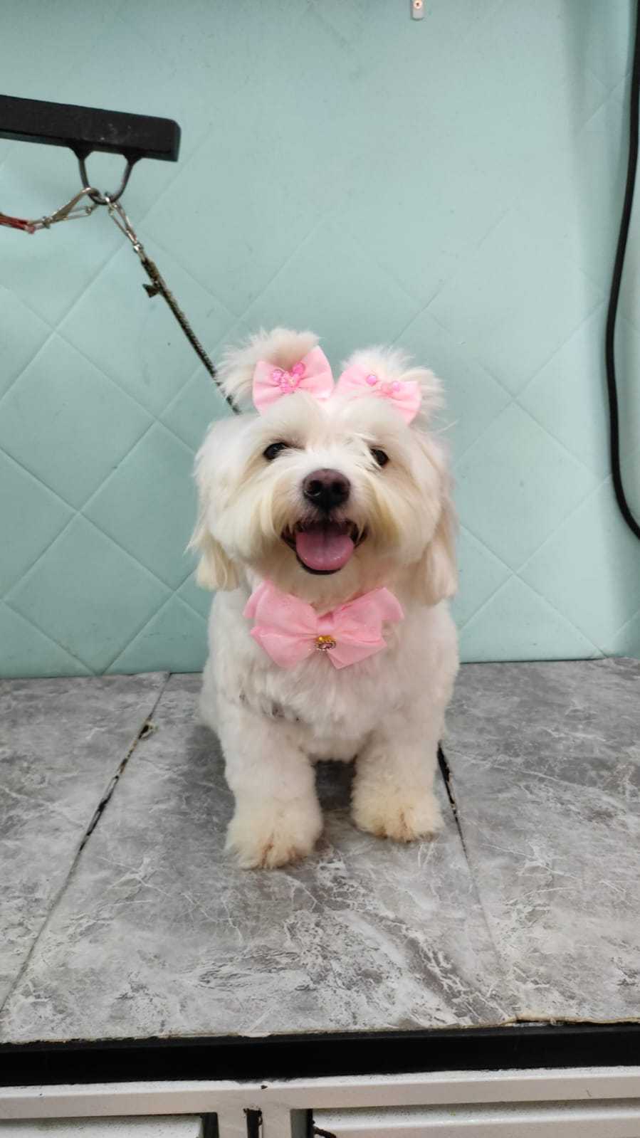 Hidratação Landing Hero Top Image