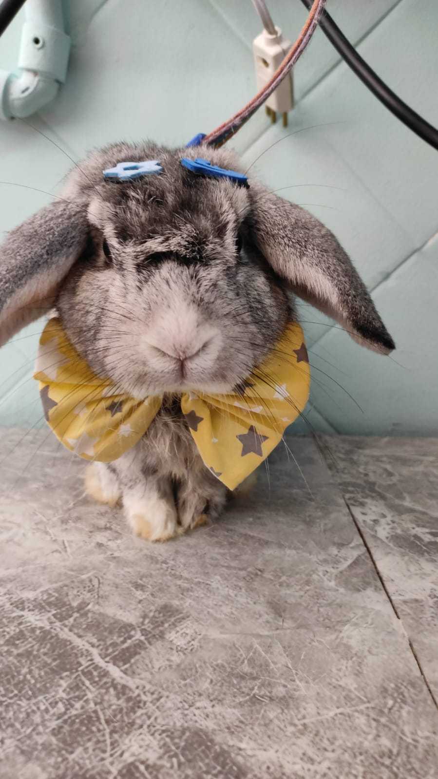 Hidratação Landing Hero Bottom Image